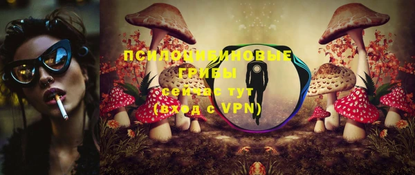 таблы Алексин