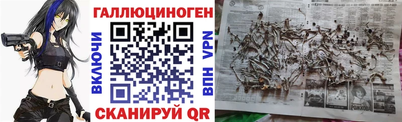 цена наркотик  кракен как войти  Галлюциногенные грибы GOLDEN TEACHER  Саров 